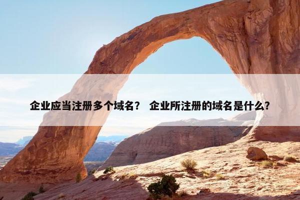 企业应当注册多个域名？ 企业所注册的域名是什么？
