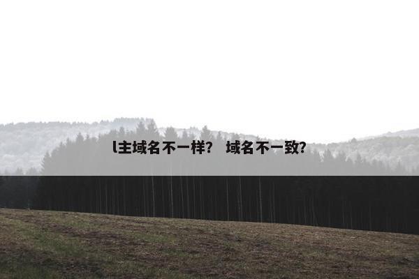 l主域名不一样？ 域名不一致？