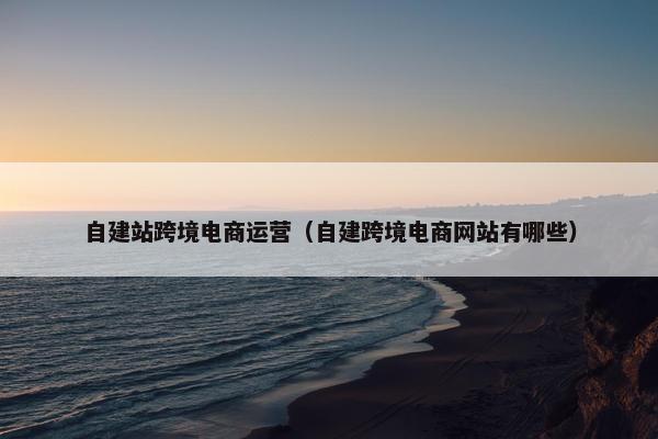 自建站跨境电商运营（自建跨境电商网站有哪些）