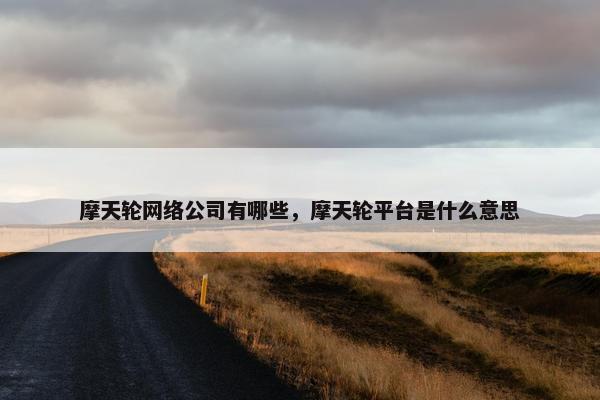 摩天轮网络公司有哪些，摩天轮平台是什么意思
