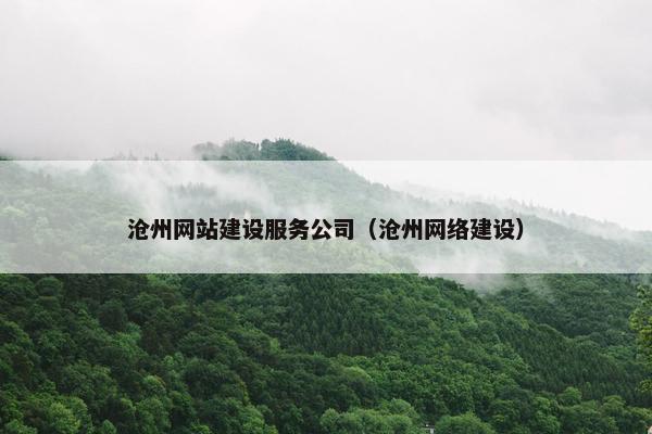 沧州网站建设服务公司（沧州网络建设）