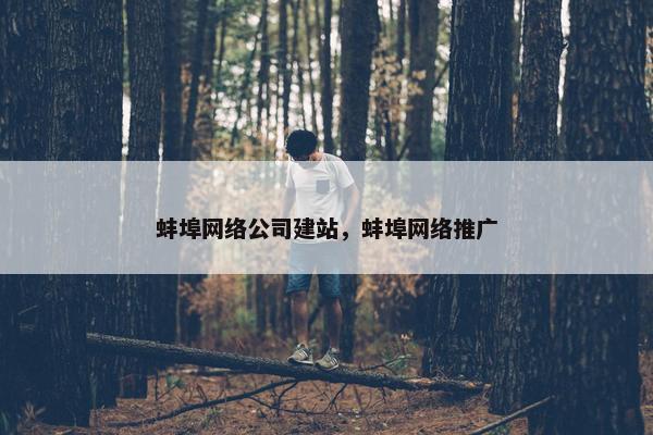 蚌埠网络公司建站，蚌埠网络推广