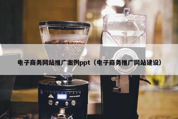 电子商务网站推广案例ppt（电子商务推广网站建设）