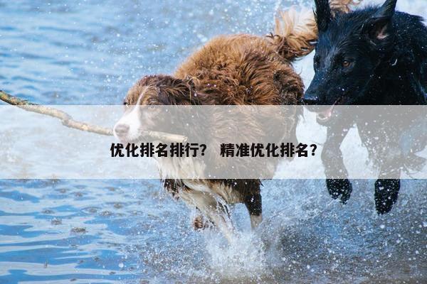 优化排名排行？ 精准优化排名？