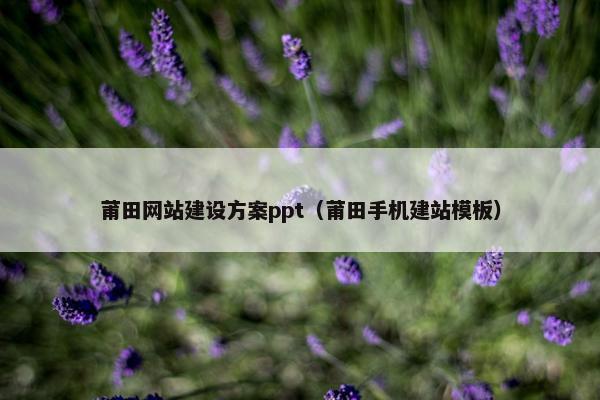 莆田网站建设方案ppt（莆田手机建站模板）