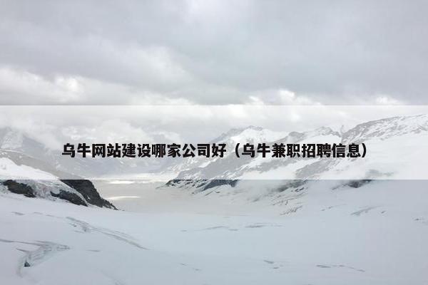 乌牛网站建设哪家公司好（乌牛兼职招聘信息）