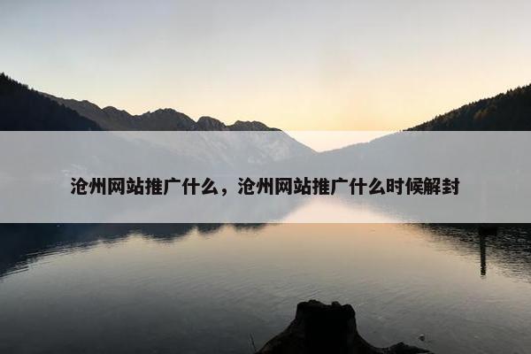 沧州网站推广什么，沧州网站推广什么时候解封