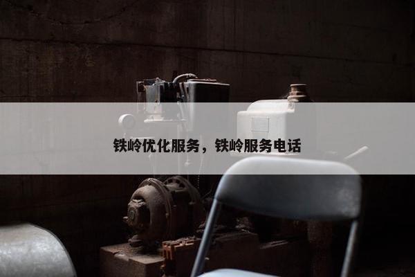铁岭优化服务，铁岭服务电话