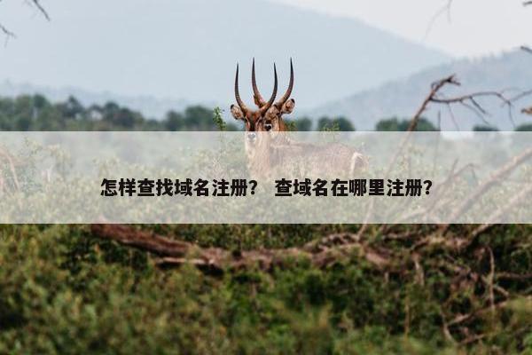 怎样查找域名注册？ 查域名在哪里注册？