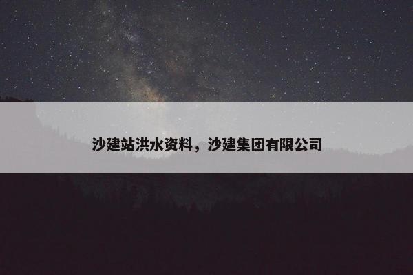 沙建站洪水资料，沙建集团有限公司