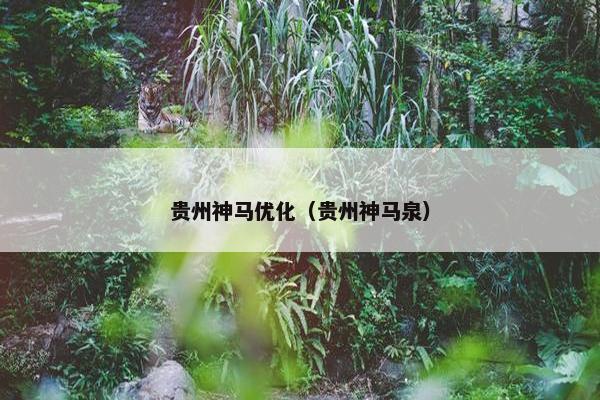 贵州神马优化（贵州神马泉）