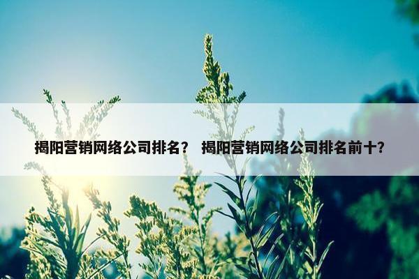 揭阳营销网络公司排名？ 揭阳营销网络公司排名前十？