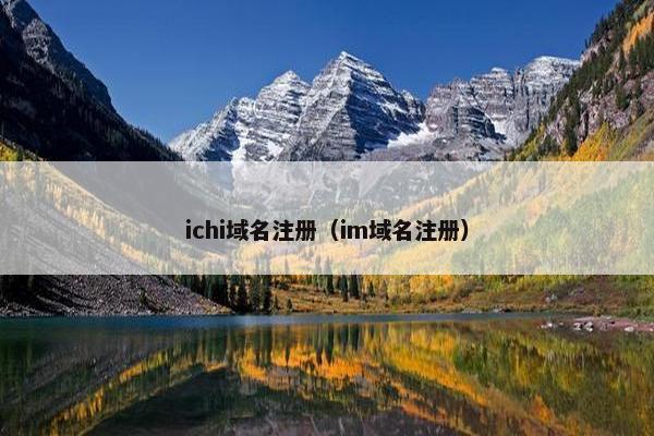 ichi域名注册（im域名注册）