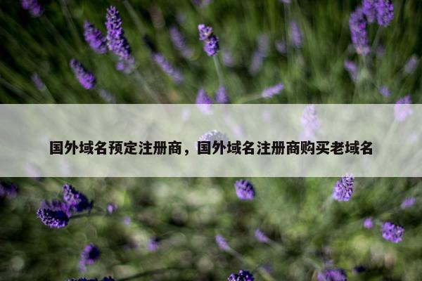 国外域名预定注册商，国外域名注册商购买老域名