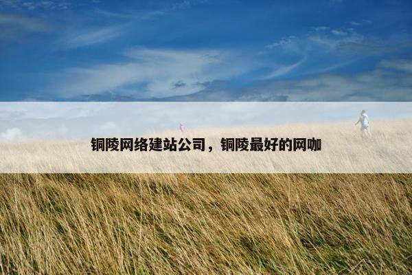 铜陵网络建站公司，铜陵最好的网咖