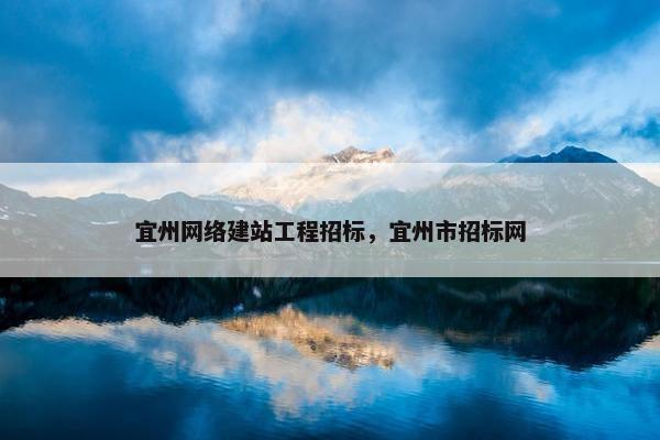 宜州网络建站工程招标，宜州市招标网