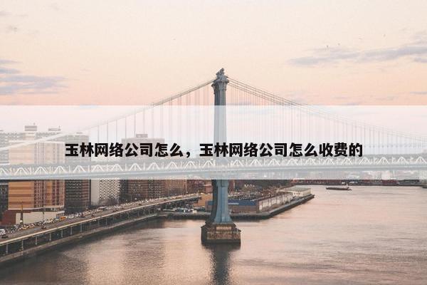 玉林网络公司怎么，玉林网络公司怎么收费的
