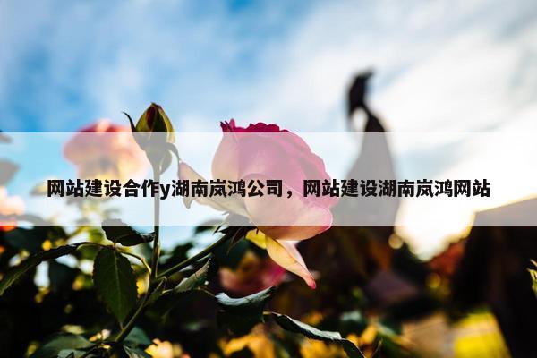 网站建设合作y湖南岚鸿公司，网站建设湖南岚鸿网站
