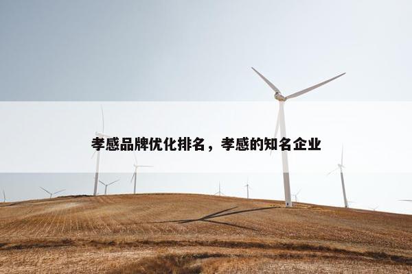 孝感品牌优化排名，孝感的知名企业