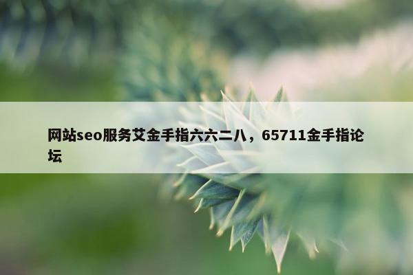 网站seo服务艾金手指六六二八，65711金手指论坛