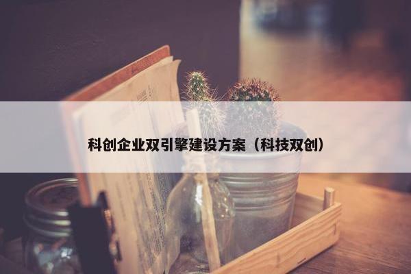 科创企业双引擎建设方案（科技双创）
