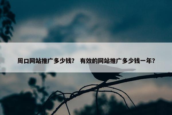 周口网站推广多少钱？ 有效的网站推广多少钱一年？