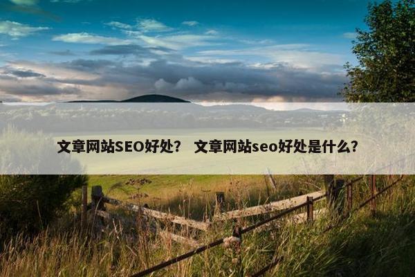 文章网站SEO好处？ 文章网站seo好处是什么？