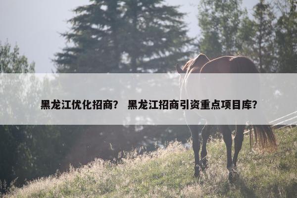 黑龙江优化招商？ 黑龙江招商引资重点项目库？