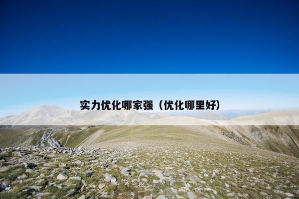 实力优化哪家强（优化哪里好）
