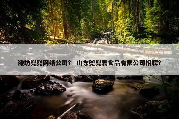 潍坊兜兜网络公司？ 山东兜兜爱食品有限公司招聘？