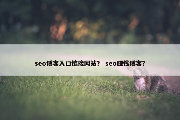 seo博客入口链接网站？ seo赚钱博客？