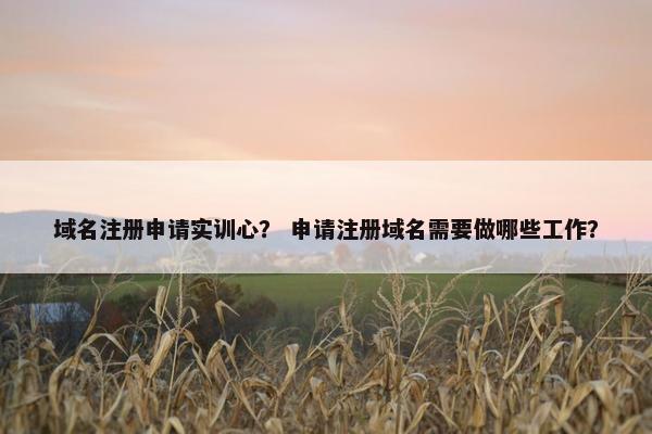 域名注册申请实训心？ 申请注册域名需要做哪些工作？