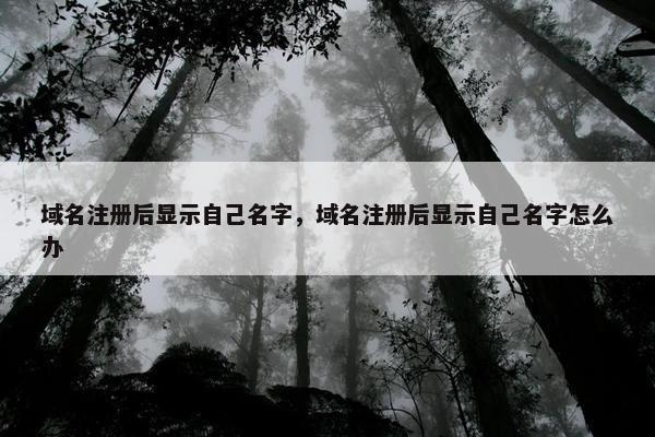 域名注册后显示自己名字，域名注册后显示自己名字怎么办