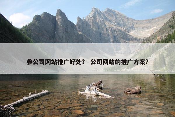 参公司网站推广好处？ 公司网站的推广方案？
