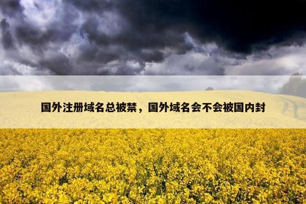 国外注册域名总被禁，国外域名会不会被国内封