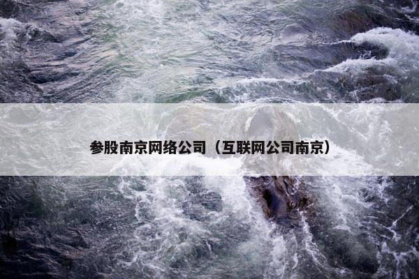 参股南京网络公司（互联网公司南京）