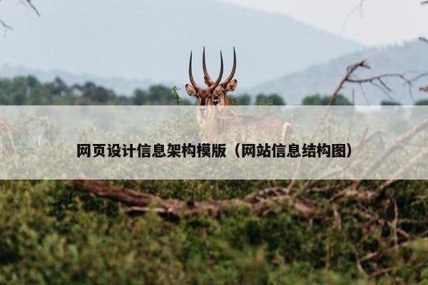 网页设计信息架构模版（网站信息结构图）