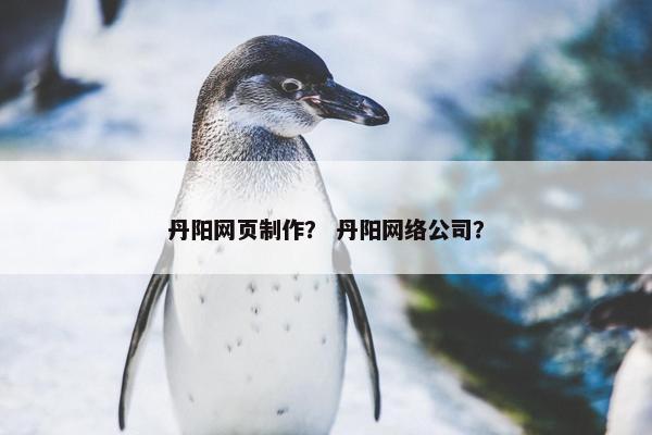 丹阳网页制作？ 丹阳网络公司？