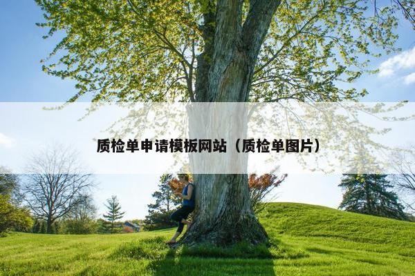 质检单申请模板网站（质检单图片）