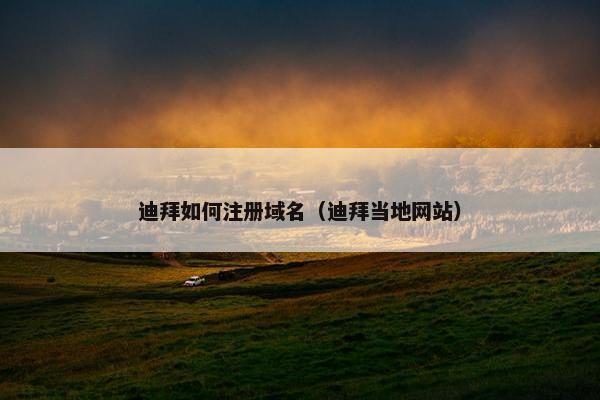 迪拜如何注册域名（迪拜当地网站）