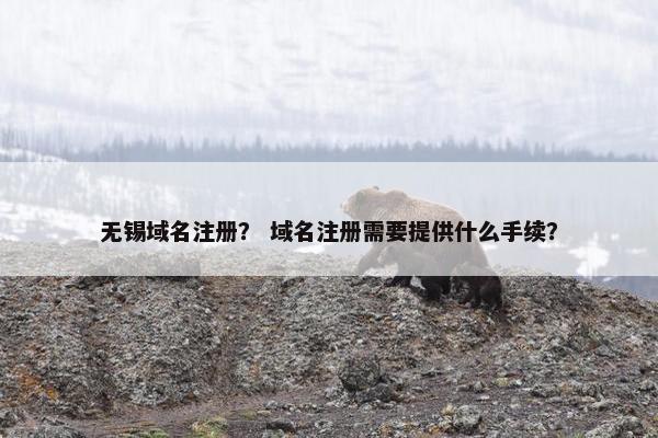 无锡域名注册？ 域名注册需要提供什么手续？