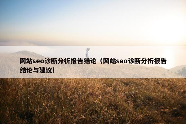 网站seo诊断分析报告结论（网站seo诊断分析报告结论与建议）