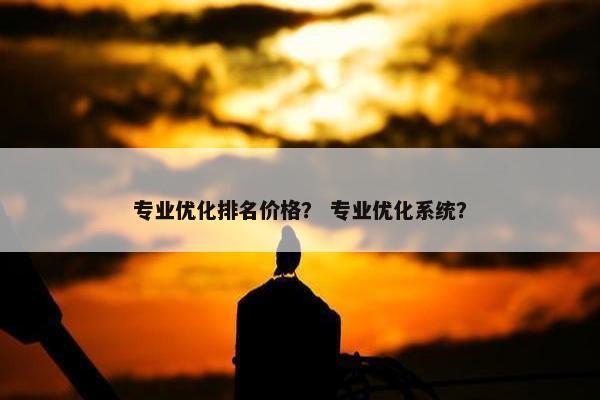 专业优化排名价格？ 专业优化系统？