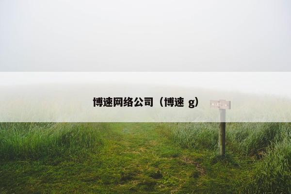博速网络公司（博速 g）