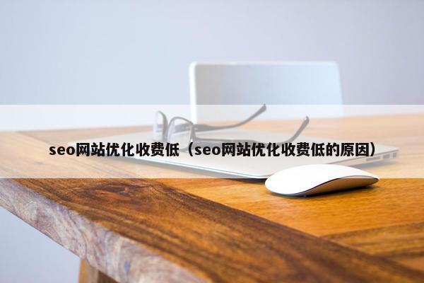 seo网站优化收费低（seo网站优化收费低的原因）