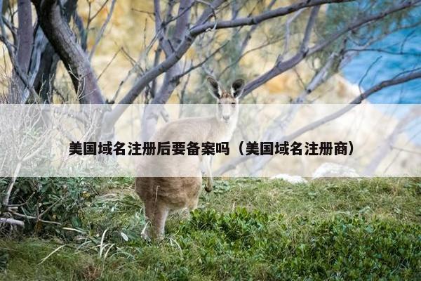 美国域名注册后要备案吗（美国域名注册商）