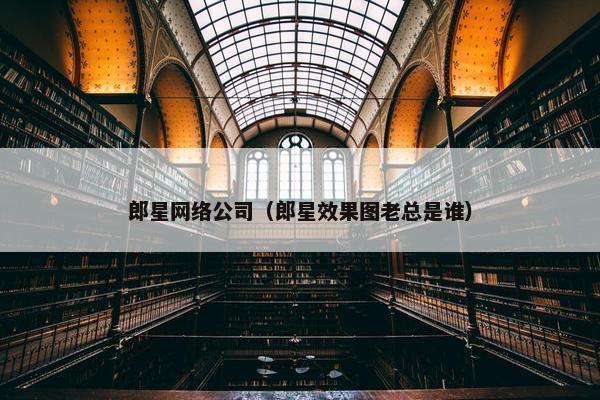郎星网络公司（郎星效果图老总是谁）