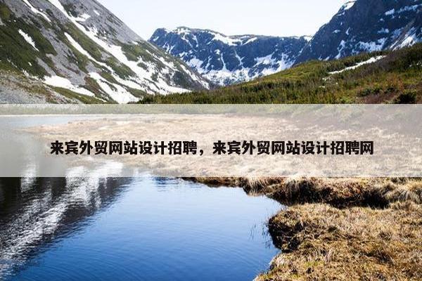来宾外贸网站设计招聘，来宾外贸网站设计招聘网