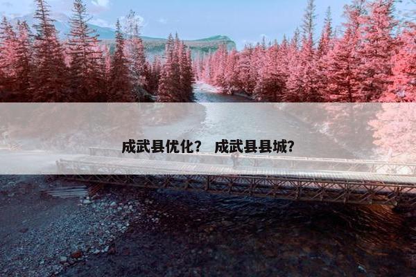 成武县优化？ 成武县县城？