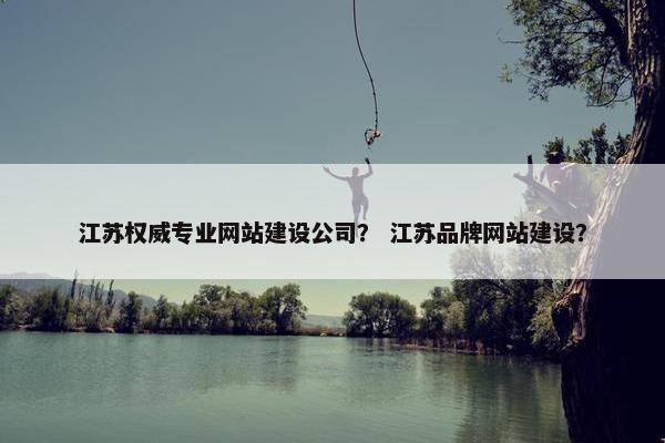 江苏权威专业网站建设公司？ 江苏品牌网站建设？